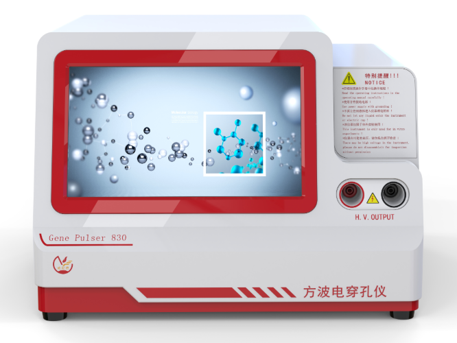电穿孔仪使用效果受哪些因素影响？关键影响因素全解析