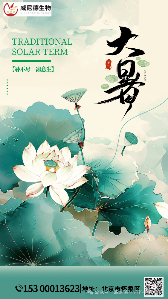 盛夏的炽热与生机