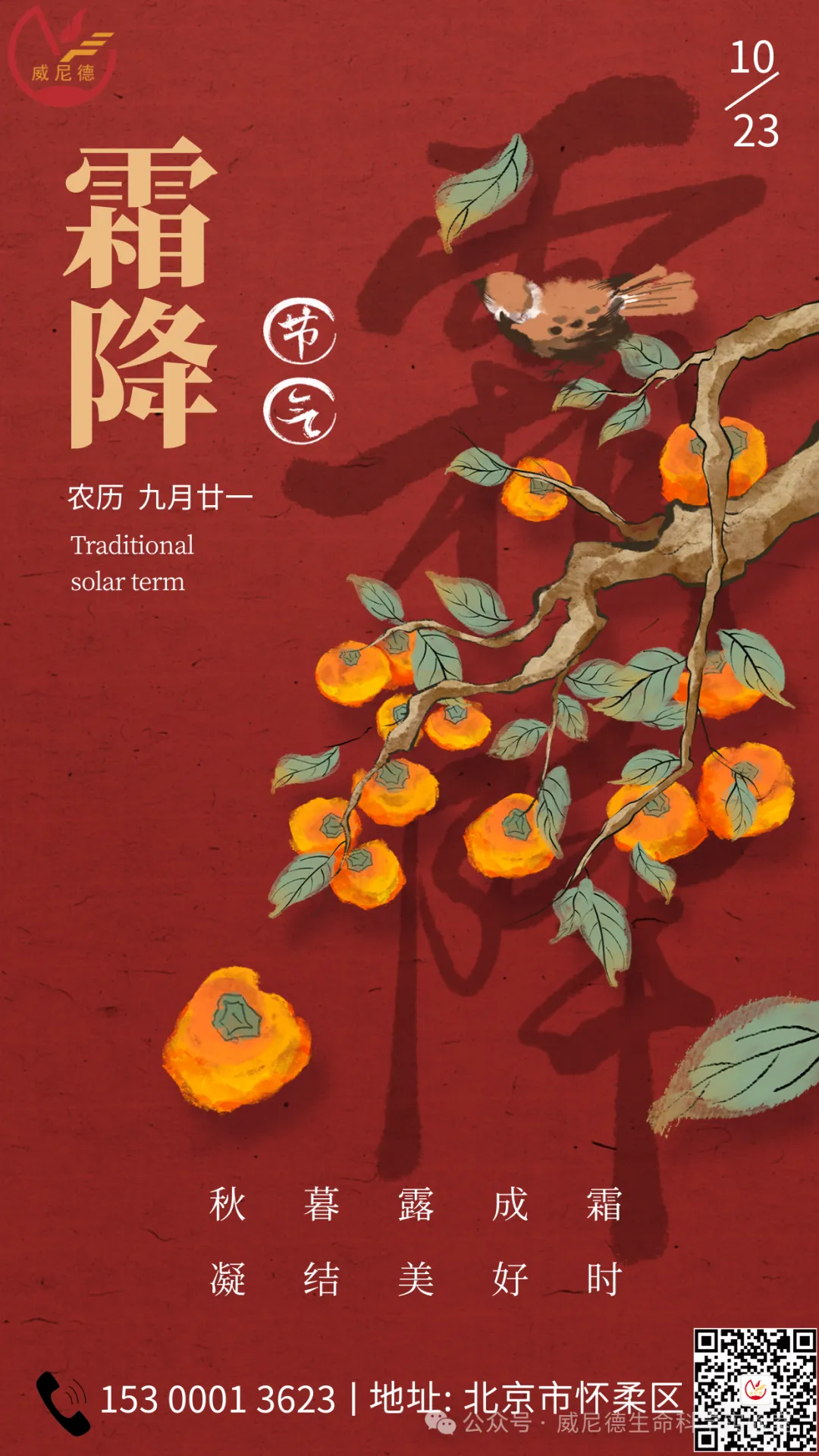 527080ff-90be-40be-9707-802c24e743f0.png