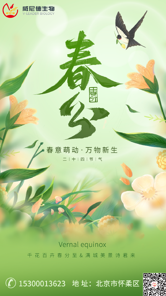 春分：时间轴上的黄金分割点