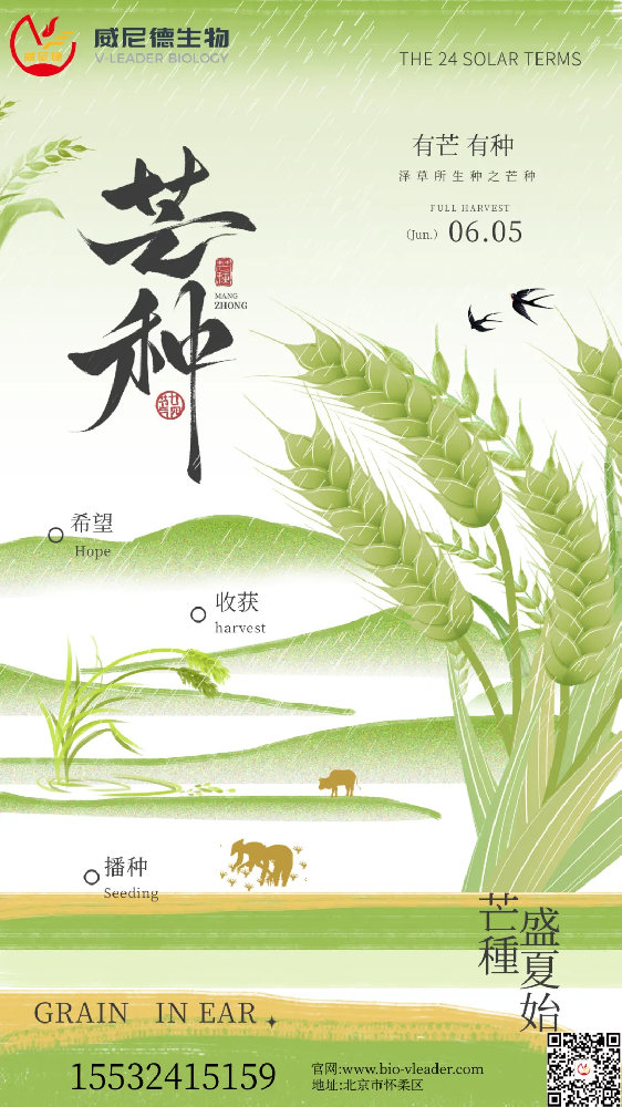 芒种：在实验室里，我们也忙着